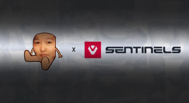 Sentinels Signs Variety Streamer 39daph