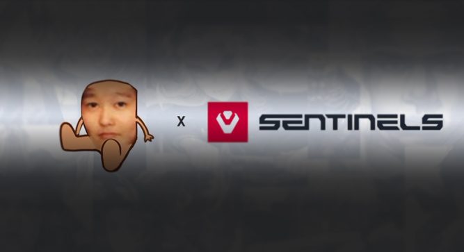 Sentinels Signs Variety Streamer 39daph